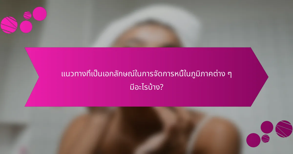 แนวทางที่เป็นเอกลักษณ์ในการจัดการหนี้ในภูมิภาคต่าง ๆ มีอะไรบ้าง?