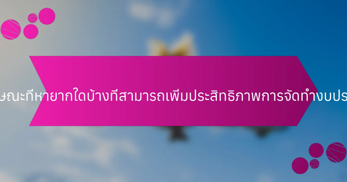 คุณลักษณะที่หายากใดบ้างที่สามารถเพิ่มประสิทธิภาพการจัดทำงบประมาณ?