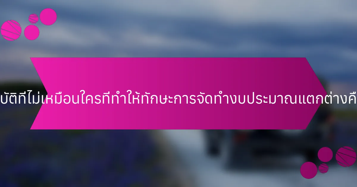 คุณสมบัติที่ไม่เหมือนใครที่ทำให้ทักษะการจัดทำงบประมาณแตกต่างคืออะไร?